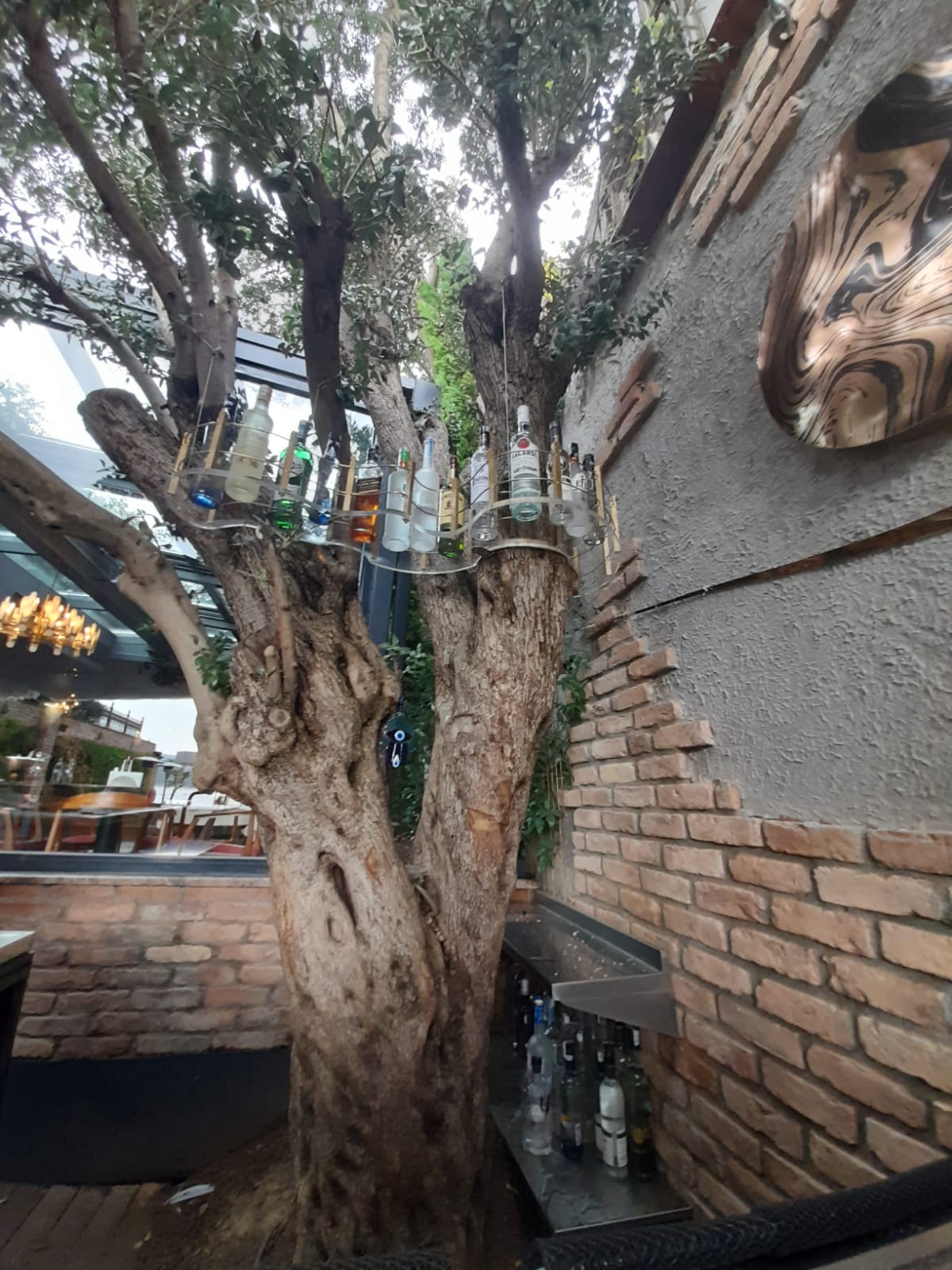 Ağaç Entegre Özel Tasarım Şişelik ve Dekoratif Bar Ünitesi